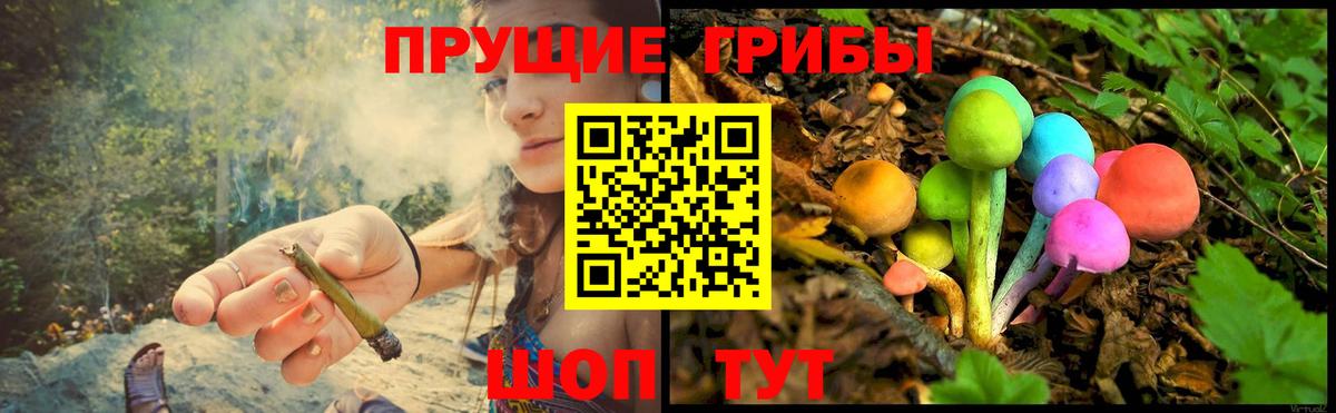 Галлюциногенные грибы Psilocybe  Вход с VPN  Пыть-Ях 